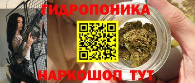 МДПВ Будённовск