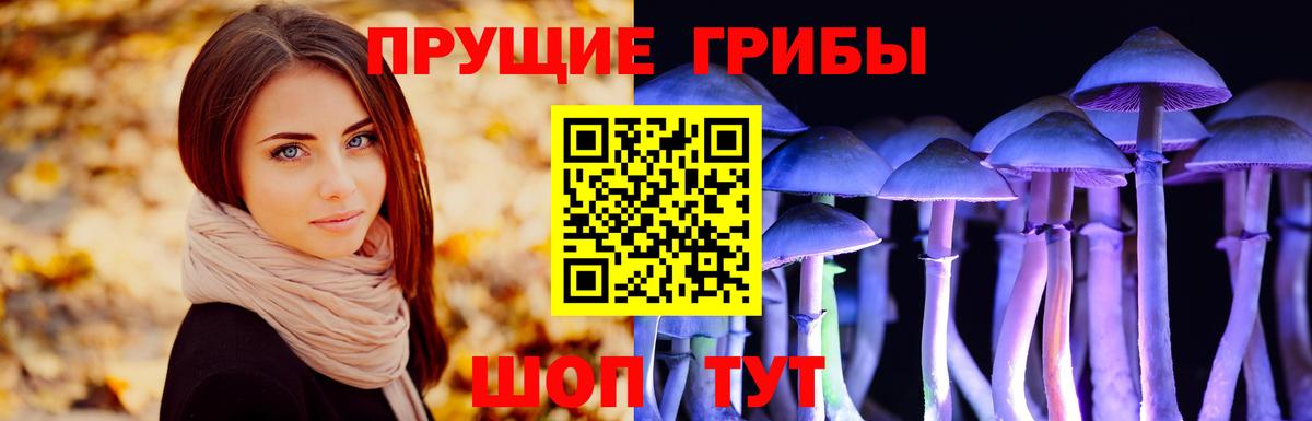 Галлюциногенные грибы Psilocybine cubensis  Галлюциногенные грибы мицелий  Белореченск  Вход с VPN 